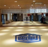 Коврик XPE для бокса Jodo MMA